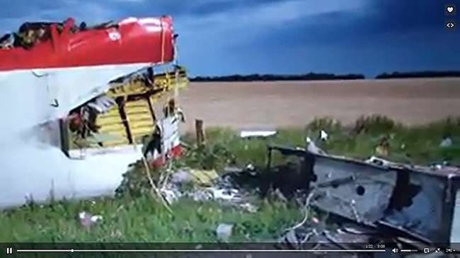 reys-mh17